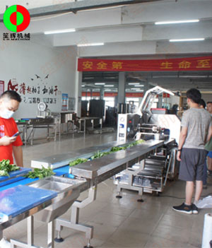 枕式蔬果包裝生產(chǎn)線(xiàn),客戶(hù)現(xiàn)場(chǎng)測(cè)試驗(yàn)收！